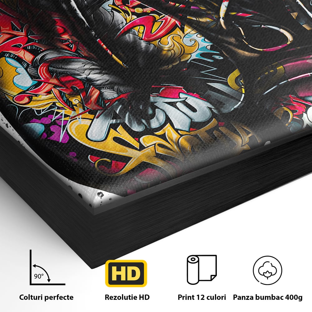 Detaliu al suprafetei: tablou canvas cu manusi de box, in rama de aluminiu negru